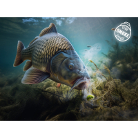 Nástraha D SNAX SHELL